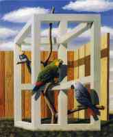 jos de mey optical illusion parrots around cage