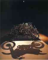 shigeo fukuda optical illusion shadow of motorbike